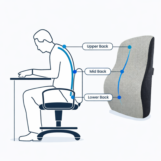 Sit Better, Feel Better — Healthwellnx ERGO Back Support Cushion